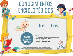 Portada Conocimientos Enciclopedicos Metodo Doman Insectos